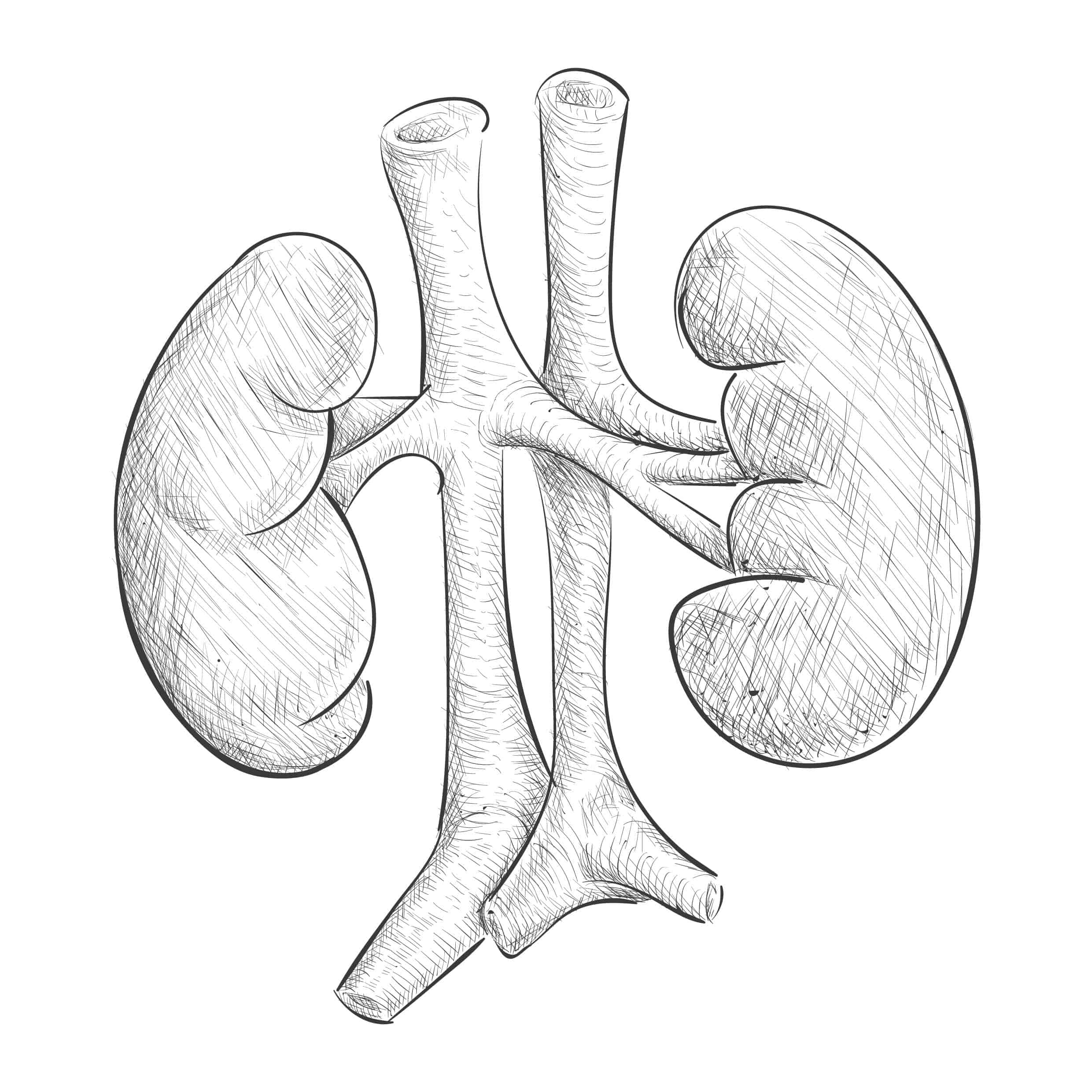 Kidney Dialysis